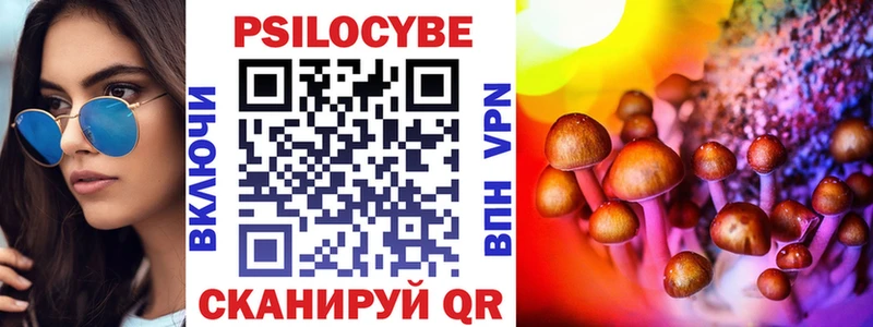 Галлюциногенные грибы Psilocybe Шумерля