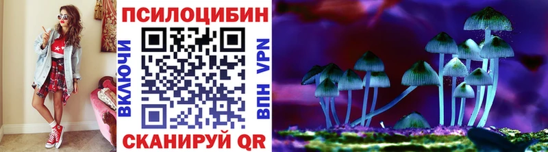 кракен маркетплейс  Шумерля  Галлюциногенные грибы Cubensis 